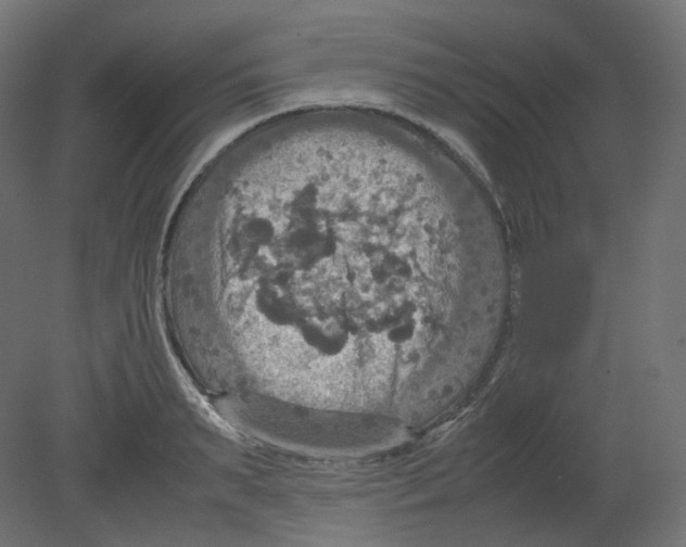 X0000080660895200701121603