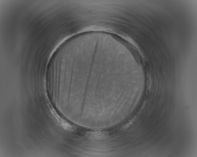 X0000080660896200701121603