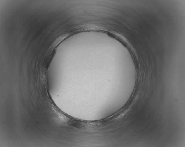 X0000080660897200701121603