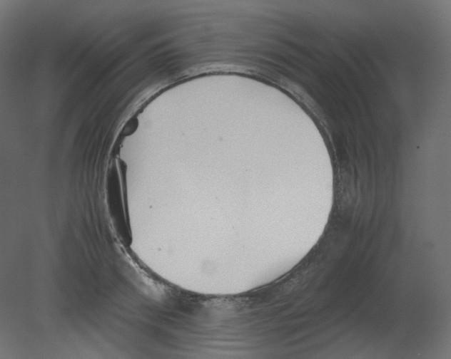 X0000080660898200701121603