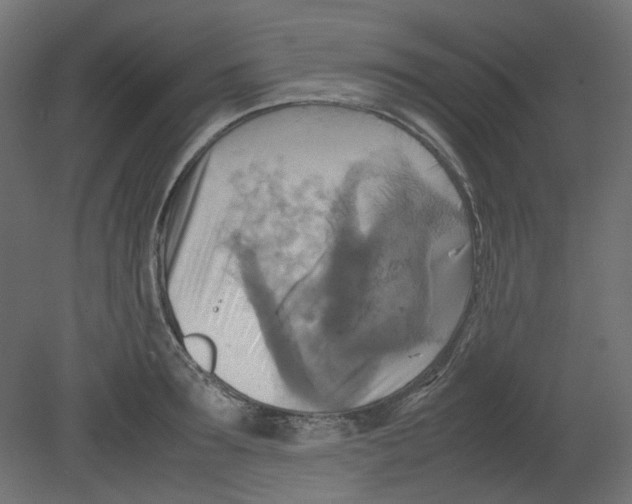 X0000080660899200701121603