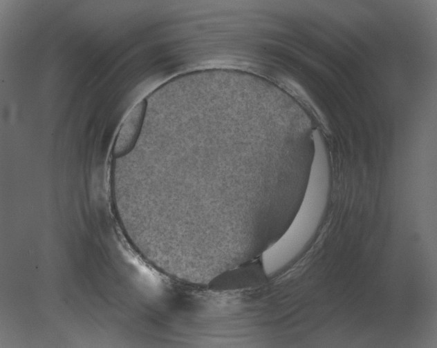 X0000080660900200701121603