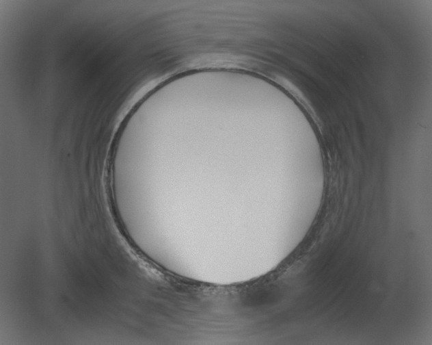 X0000080660901200701121603