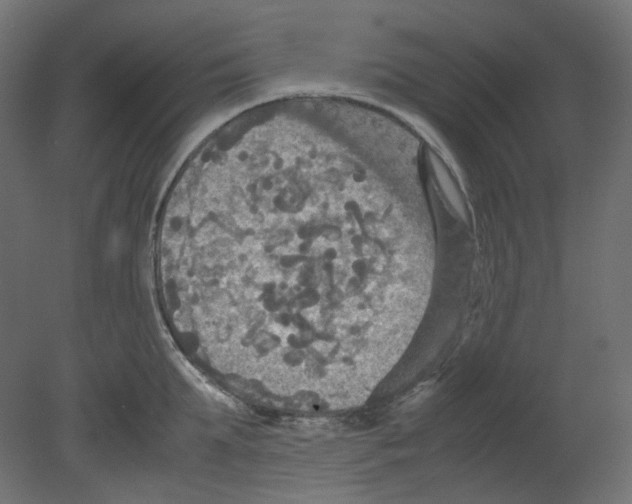 X0000080660903200701121603