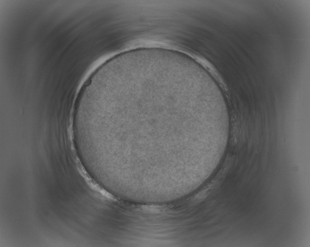 X0000080660904200701121603