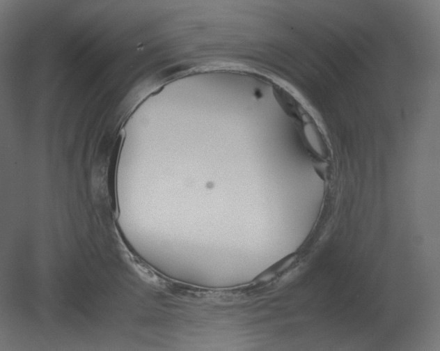 X0000080660905200701121603