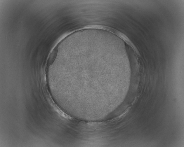 X0000080660908200701121603