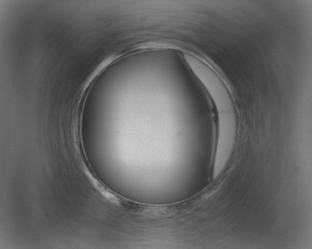 X0000080660909200701121603