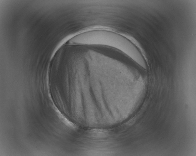 X0000080660910200701121603