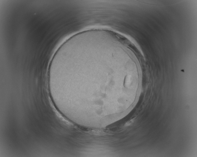 X0000080660911200701121603