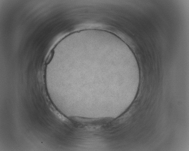 X0000080660912200701121603