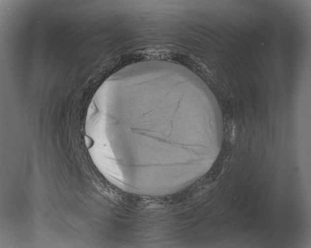 X0000080660913200701121602