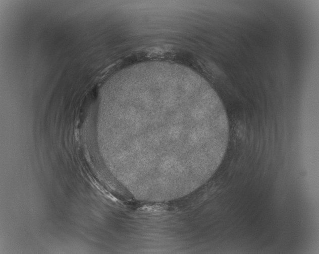 X0000080660914200701121602