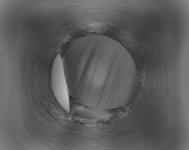 X0000080660916200701121602