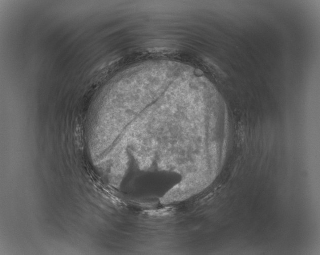 X0000080660917200701121602