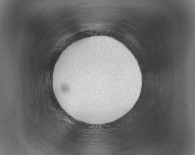 X0000080660918200701121602