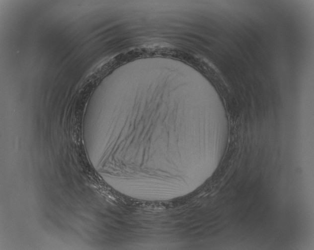 X0000080660919200701121602