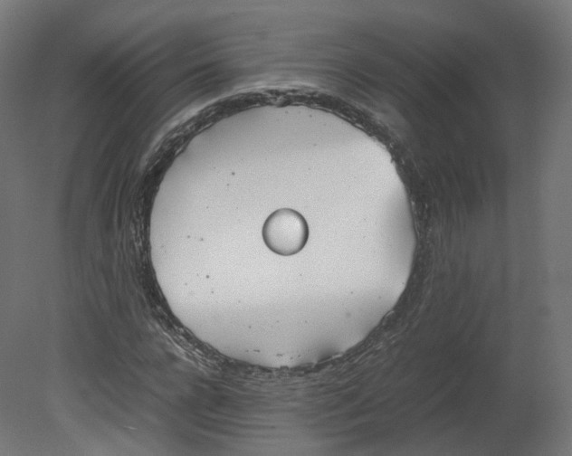 X0000080660920200701121602