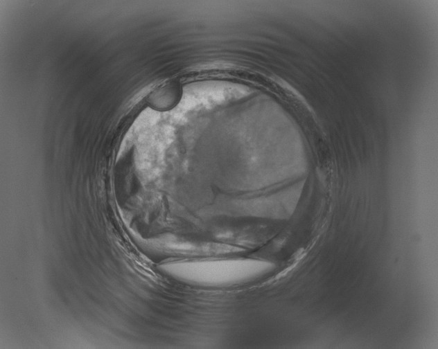 X0000080660921200701121602