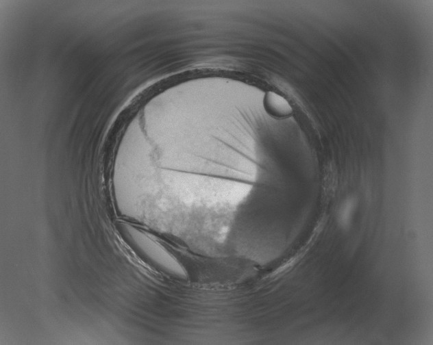 X0000080660923200701121602