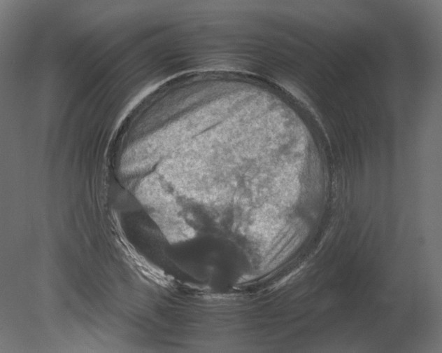 X0000080660925200701121602