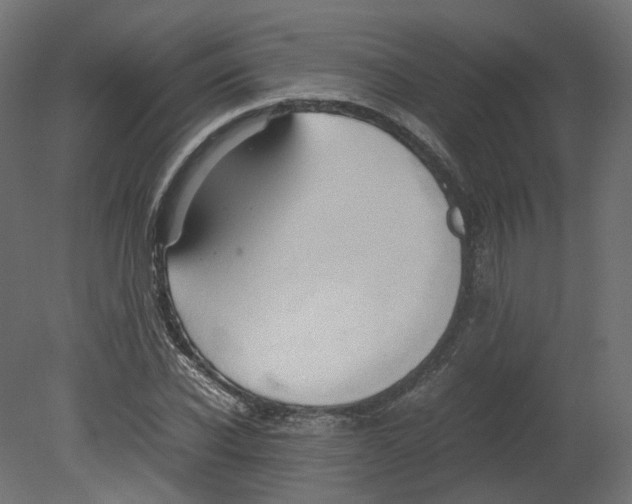 X0000080660926200701121602