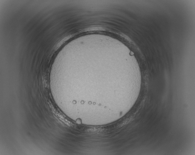 X0000080660929200701121602