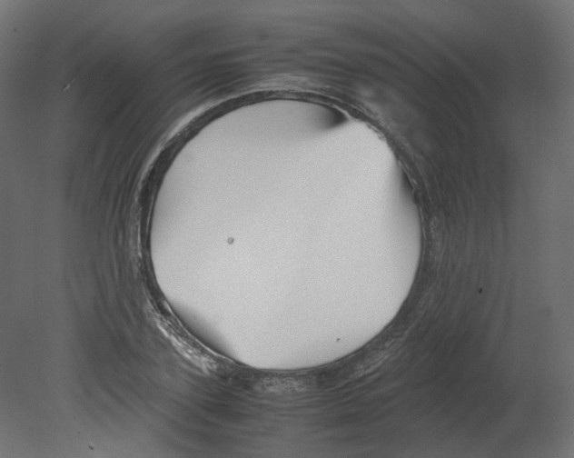 X0000080660931200701121602