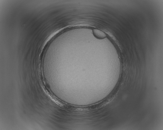 X0000080660933200701121602