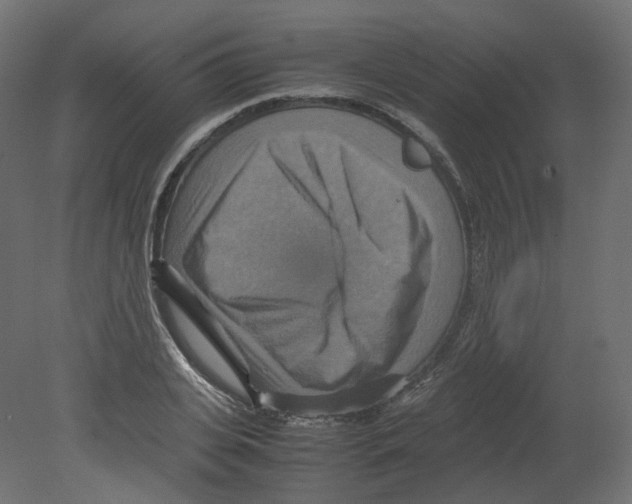 X0000080660935200701121602