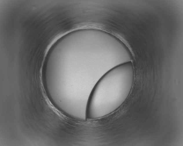 X0000080660936200701121603