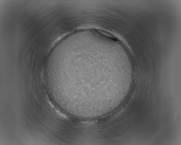 X0000080660937200701121603