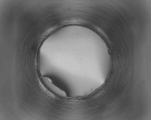 X0000080660938200701121603