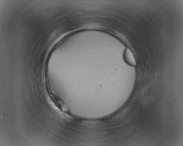 X0000080660939200701121603