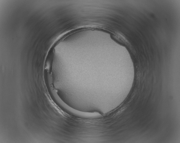 X0000080660940200701121603