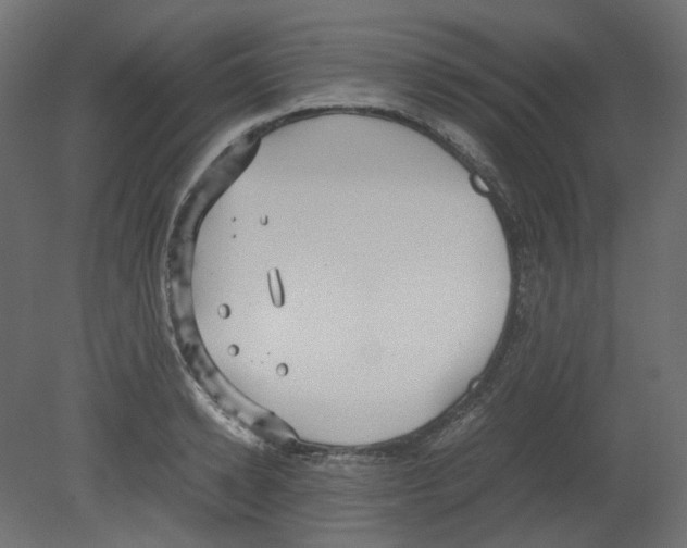 X0000080660942200701121603