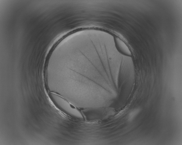 X0000080660943200701121603