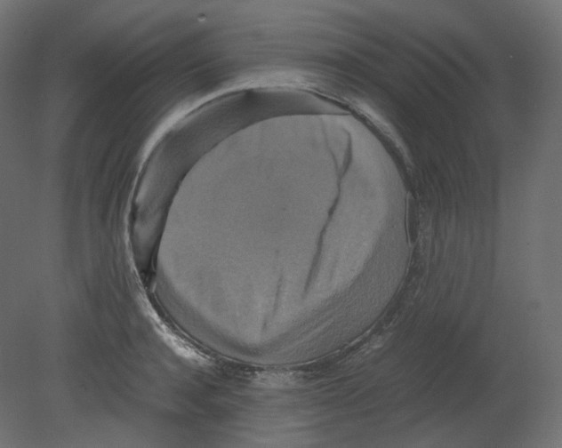 X0000080660944200701121603