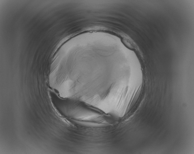 X0000080660945200701121603