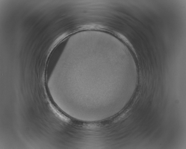 X0000080660946200701121603