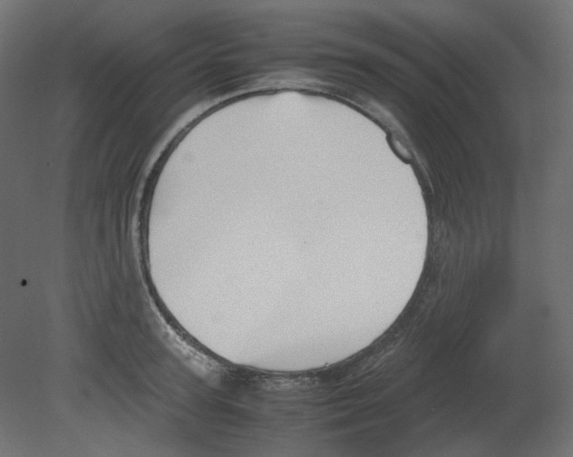 X0000080660947200701121603