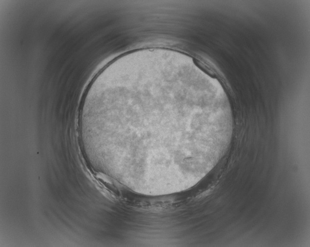 X0000080660948200701121603