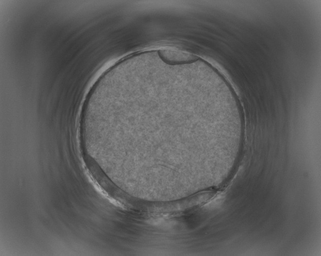 X0000080660949200701121603