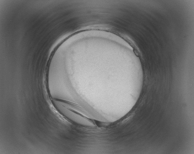 X0000080660952200701121603