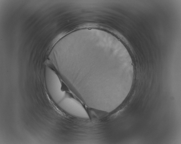 X0000080660953200701121603