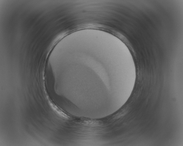 X0000080660954200701121603