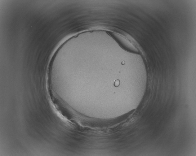 X0000080660955200701121603