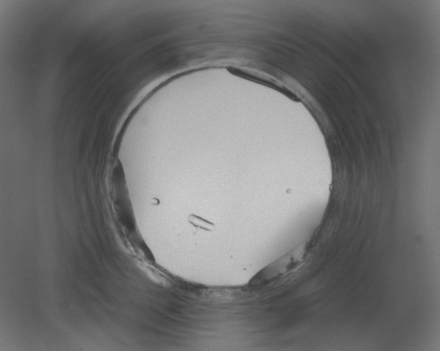 X0000080660956200701121603