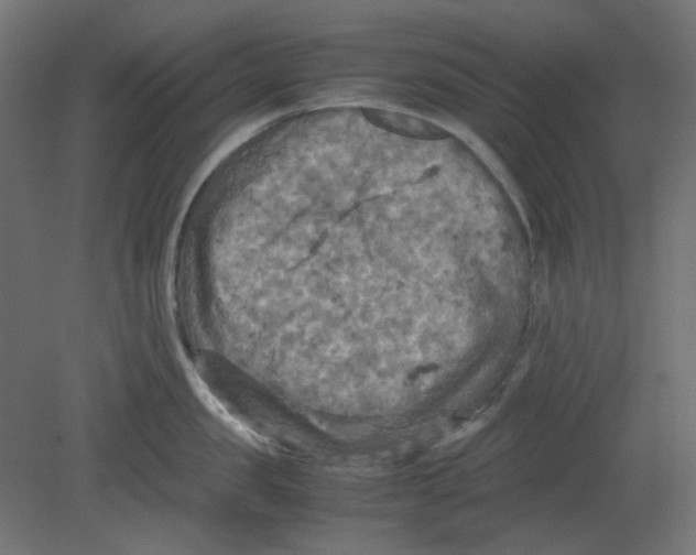 X0000080660957200701121603