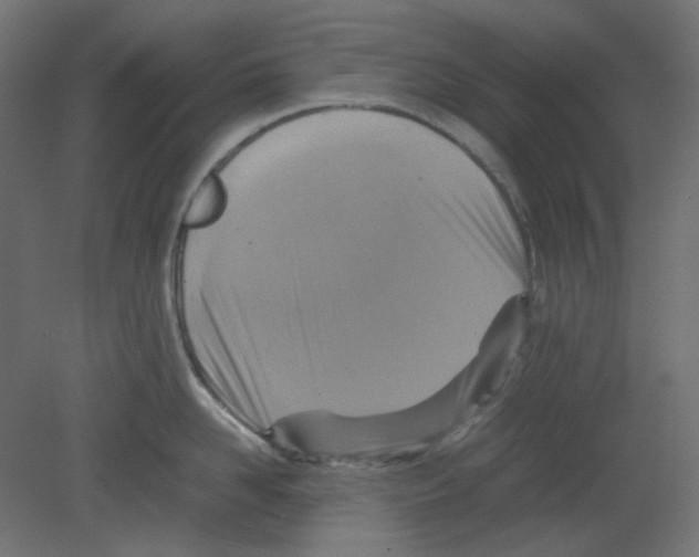 X0000080660958200701121603